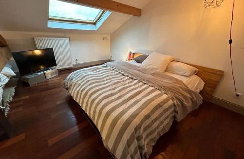 Santy - La Plaine Villa | Belle maison de ville dans Lyon