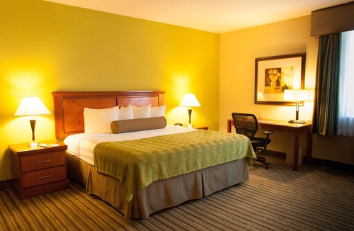 Doral Hotel | Best Western Plus Miami-Doral/Dolphin Mall
