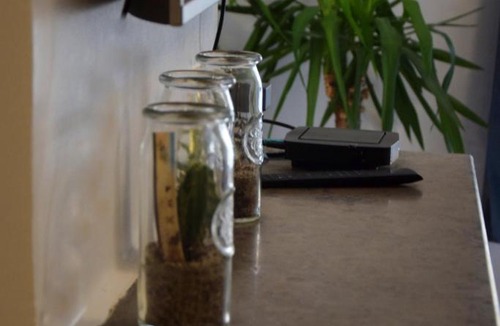 Moliere Vauban Apartment | Brotteaux