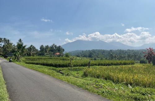 Penebel House | Buana Asti Homestay Retreat Batukaru