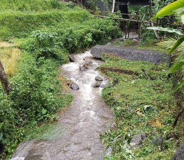 Pupuan Other | Bucu Riverside
