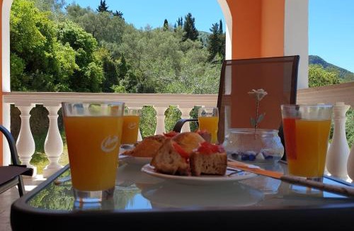 Dafnata Apartment | Calondri Apartment 2 in Achilleion Region