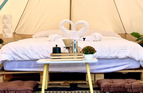 Khlong Sok Other | Camping phutajoy แคมป์ปิ้งภูตาจ้อย