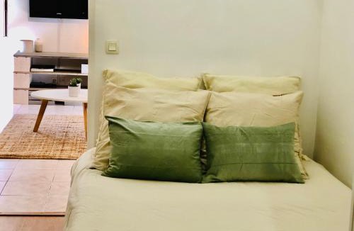 Le Suquet Apartment | Cannes 78 rue meynadier plage, Mipim Festival 3 minutes à pieds
