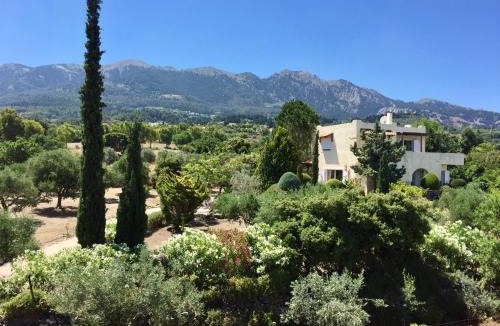 Dikaio Apartment | Carpe Diem 2 - Sunset Appartement - Grand Terrace