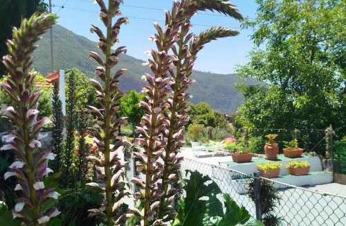 Los Realejos House | Casa Lola