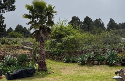 Icod de los Vinos House | Casa Regina: a place to enjoy nature and a unique setting.