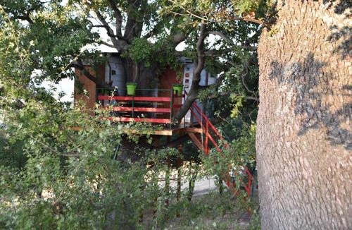 Lentella House | Casa sull'Albero