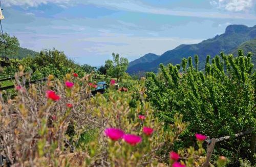Campinola House | CASA VACANZE - Anna Holiday Home