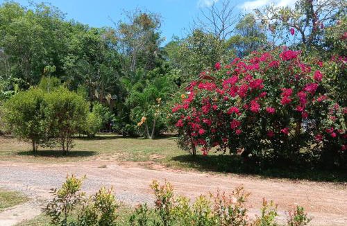 Ko Yao Resort | Cha Bungalow