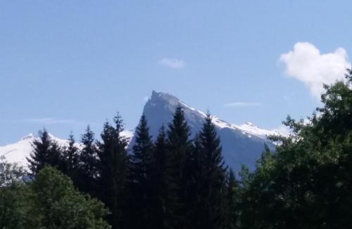 Morillon Ski Chalet | Chalet 10 pers 4 ch Morillon village