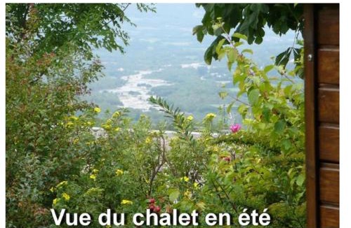 Saint-Leger-les-Melezes Ski Chalet | Chalet jolie vue montagne Air vivifiant