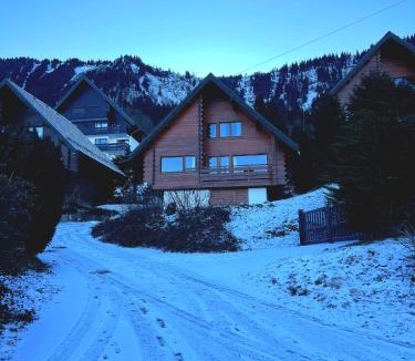 Thollon-les-Memises Ski Chalet | Chalet les Alpages vue panoramique sur le lac Léman
