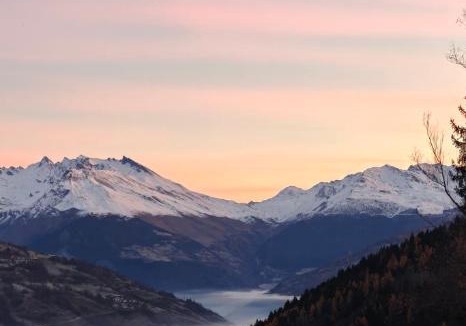 Macot-la-Plagne Ski Chalet | Chalet recent , 5 min télésiège de la Roche, virage 12