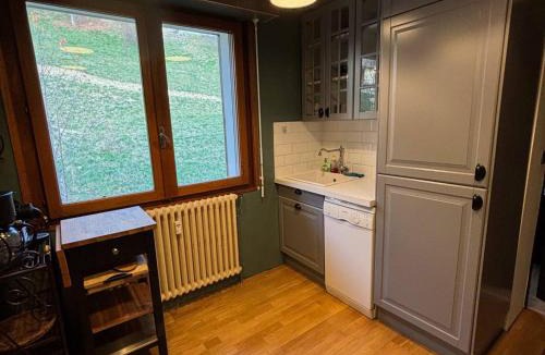 La Chapelle-d'Abondance Apartment | Charmant appartement avec parking - 37m² - FR-1-692-77