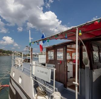 Lyon City Centre Boat Rental | Charmante cabine dans péniche avec terrasse privée et vue imprenable