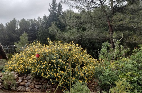 Beaurecueil House | Charming Provencal house with swimming pool near Aix en Provence