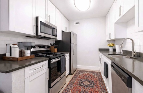 Beach Park Apartment | Chic South Tampa Retreat 2 King Beds Pool, Gym & Prime Walkable Location
