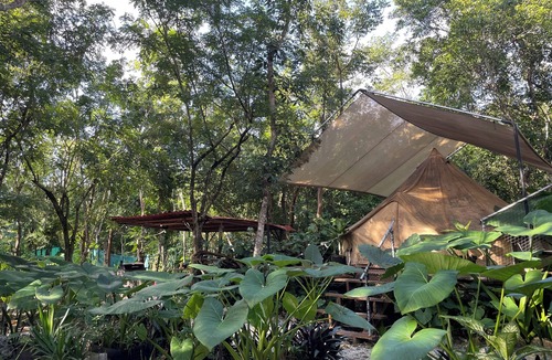 Cozumel RV Rental | Cozumel Glamping