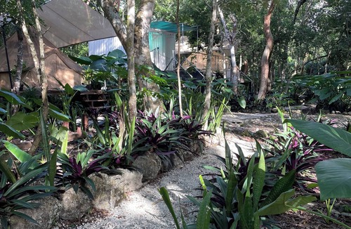 Cozumel RV Rental | Cozumel Glamping