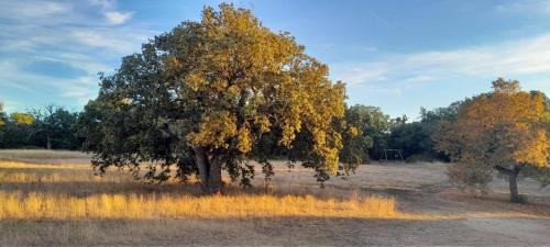 Varages House | Domaine de la Blaque - B&B