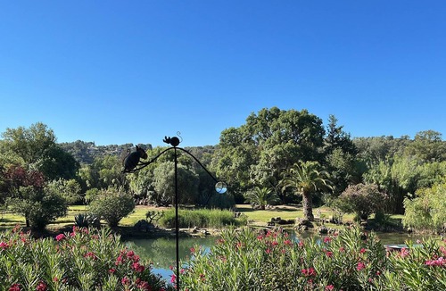 Trans-en-Provence Apartment | Domaine Saint Amour – Studio Océane: Romantic Getaway with Lake View, Pool & 2-Hectare Park