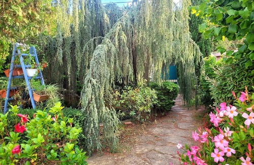 Le Brusc House | Ecrin de verdure sea & pool 45m² (45m²)