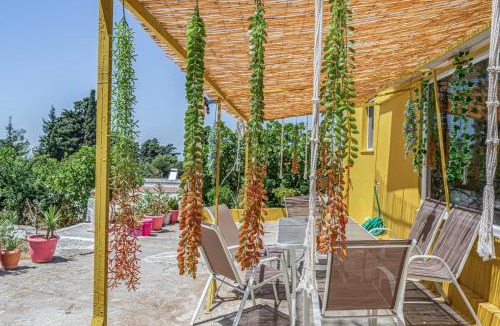 Zia House | Euphoria Village House