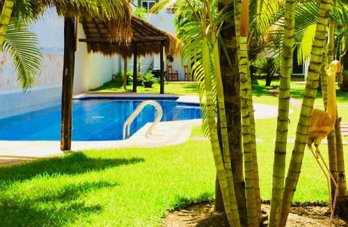 Playacar House | Executive Basic Room With Swimming Pool Air Conditioning and Parking