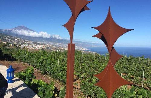 La Matanza de Acentejo Apartment | Finca Angelus Amazing Views Sea + Teide