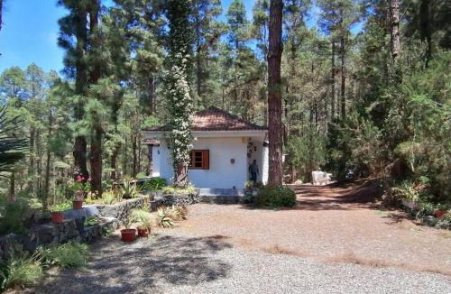 Icod de los Vinos House | Floral garden house