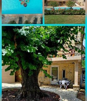 Aubenas Apartment | Gîte 2 "Le Tilia " aux magnolias 3 étoiles
