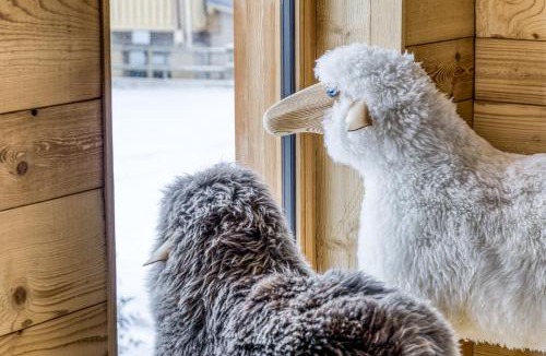 Praz-sur-Arly Ski Chalet | Grand chalet récent avec Jacuzzi, ski au pied