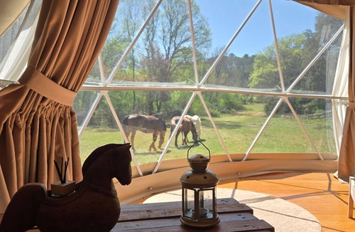 Varages Apartment | Guesthouse 'La Cabane Aux Chevaux' with Private Garden
