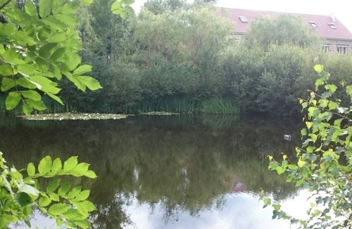 Saint-Jacques-d'Ambur House | Holiday Home “Gîte for 18 People with Pond” with Lake View