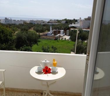 Drios Hotel | Hotel Anezina