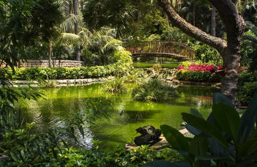 Puerto de la Cruz Hotel | Hotel Botanico y Oriental Spa Garden