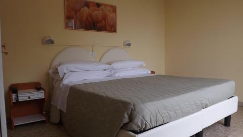 Giulianova Hotel | Hotel Cesare