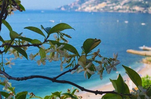 Maiori Hotel | Hotel Sole