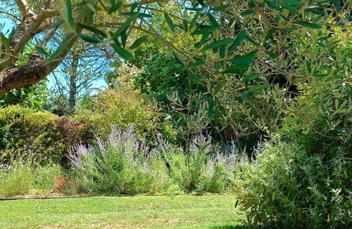 Velleron House | House with swimming pool in the heart of Provence near Isle sur Sorgue