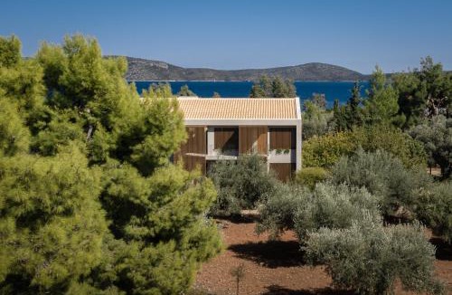 Steni Vala Apartment | Ilya Botanic Suites