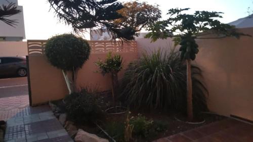 Costa Adeje Apartment | Independiente estudio en acogedora casita de Mai