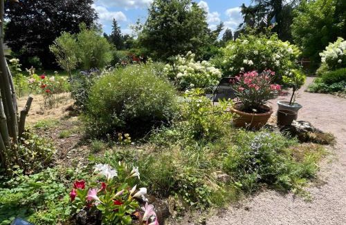 Meaulne-Vitray Bed & Breakfast | Jolie futaie à Meaulne-Tronçais