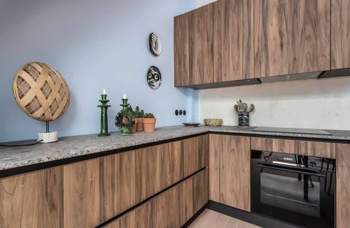 Grande Cote - Annonciade Apartment | Jungle-Art - Furnished apartment - Downtown Lyon