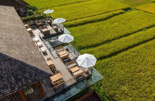 Kedewatan Resort | Kappa Senses Ubud