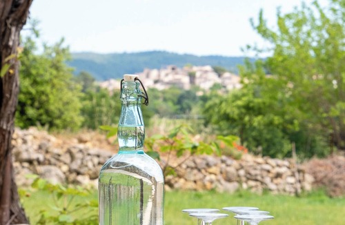 Carces Villa | La Bastide des Oliverons, family vacations