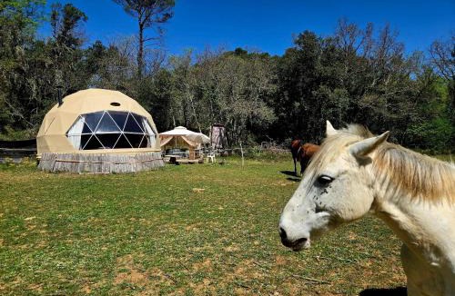 Varages Apartment | La Cabane aux Chevaux
