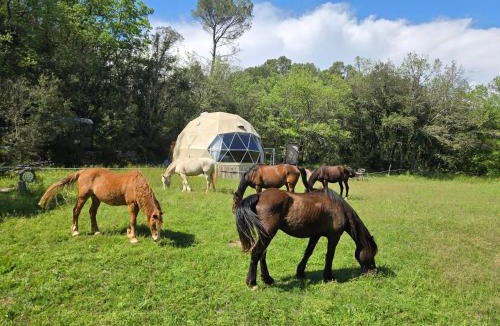 Varages Apartment | La Cabane aux Chevaux