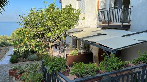 Marina di Pisciotta House | La casa del Maestro