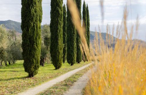 Vairano Patenora Bed & Breakfast | La Ferrara Agriturismo